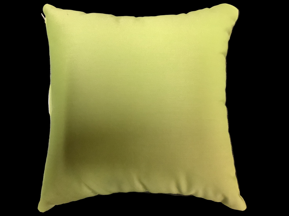 Throw Pillow 16" Sq, Spectrum Kiwi, 48023-0000, Closeout