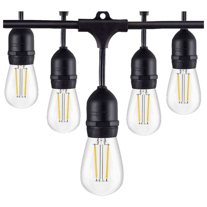 SL101 3000K Warm White LED Low Voltage Bistro String Lights 48 FT Outdoor Weatherproof 12V Edison Bulbs
