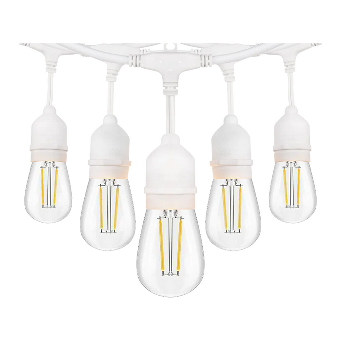 SL101 3000K Warm White LED Low Voltage Bistro String Lights 48 FT Outdoor Weatherproof 12V Edison Bulbs
