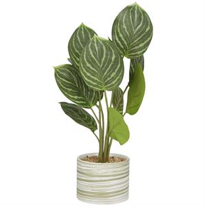 The Novogratz Green Faux Foliage Calathea Artificial Plant with Realistic Leaves and Patterned Porcelain Pot