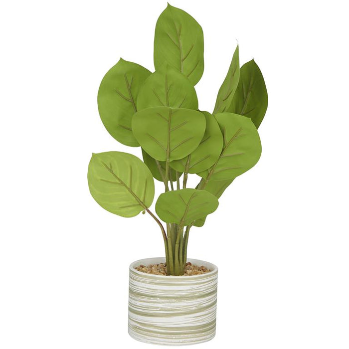 The Novogratz Green Faux Foliage Calathea Artificial Plant with Realistic Leaves and Patterned Porcelain Pot