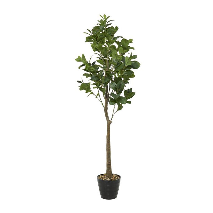 Green Faux Foliage Fig Indoor Outdoor Artificial Tree with Realistic Leaves and Black Melamine Pot, 23" x 23" x 59"