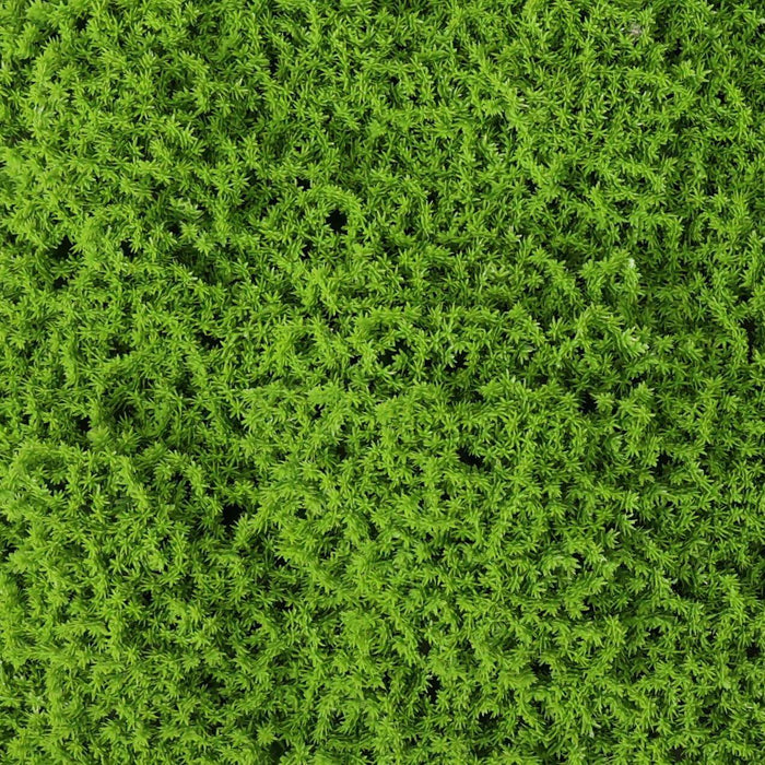 Faux Evergreen Moss Mat 33 SQ FT UV Resistant Commercial Grade UV Resistant