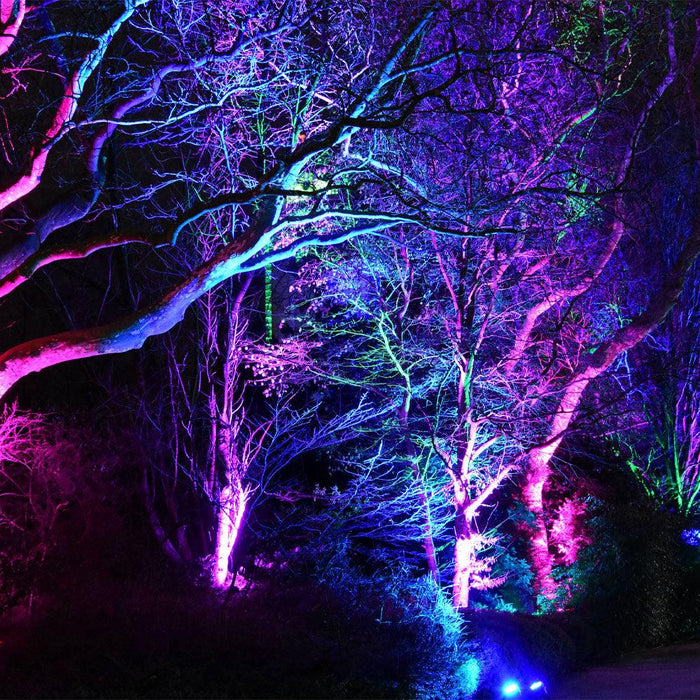 CDRA12 12W Smart Bluetooth RGBW Narrow Beam Directional Outdoor Landscape Spotlight with Remote Control