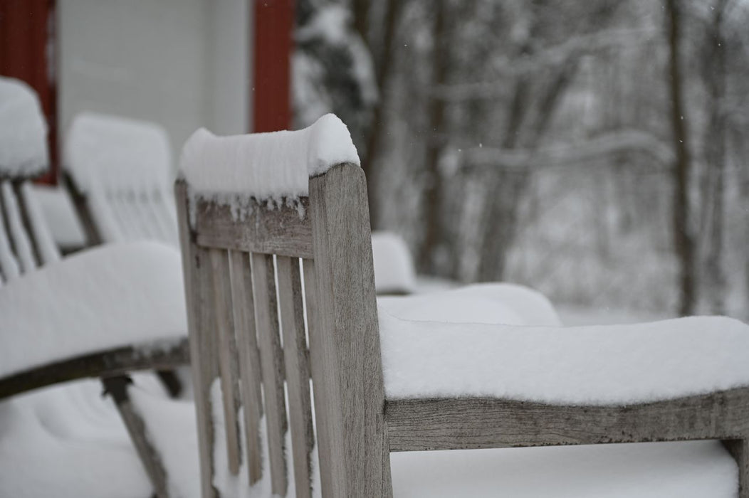 Three Birds Casual Classic Armchair