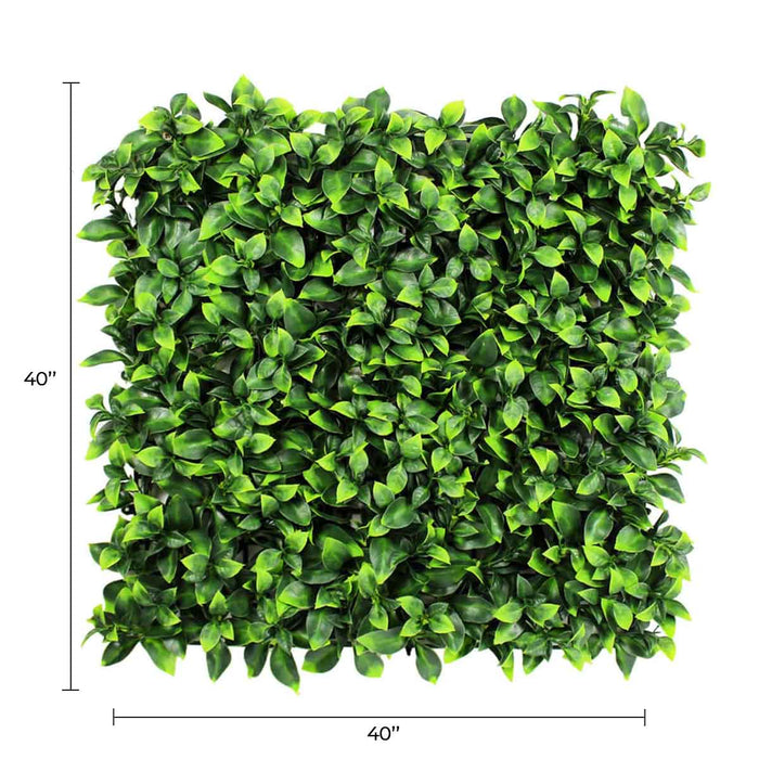 Jasmine Artificial Green Wall 40" x 40" 11SQFT Commercial Grade UV Resistant