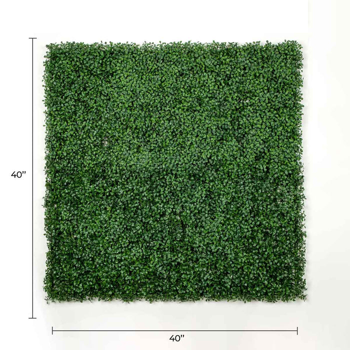 Dark Artificial Boxwood Wall (6 Pieces 40" x 40") 66 SQ FT Set Commercial Grade UV Resistant