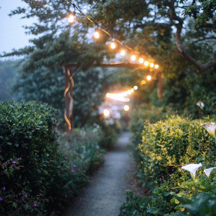 SL101 3000K Warm White LED Low Voltage Bistro String Lights 48 FT Outdoor Weatherproof 12V Edison Bulbs