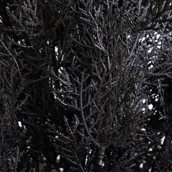 6' UV Resistant Artificial Halloween Black Cedar Tree (Indoor/Outdoor)