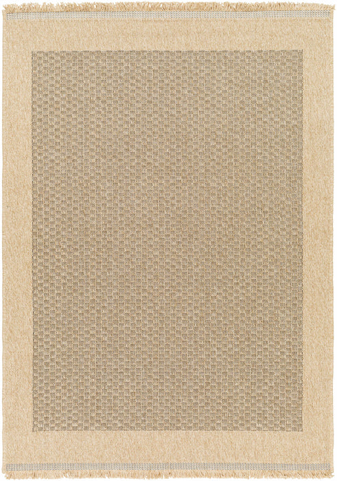 Biana Indoor & Outdoor Rug