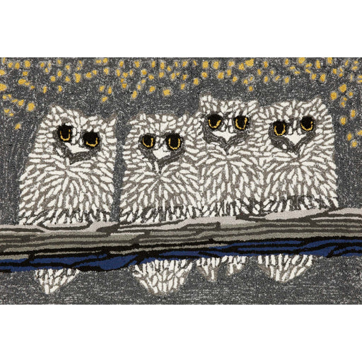 Liora Manne Frontporch Owls Indoor/Outdoor Rug Night