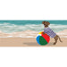 Liora Manne Frontporch Coastal Dog Indoor/Outdoor Rug Ocean