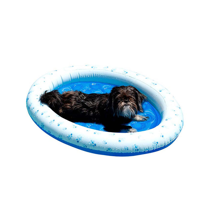 Inflatable Pet Float, Small Dog up to 30 lbs